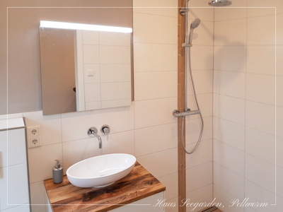 Badezimmer mit Waschtisch und Dusche
